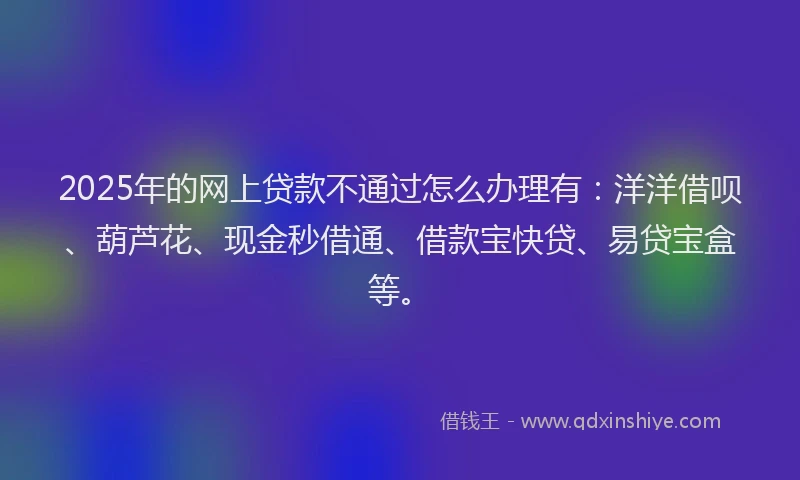 2025年的网上贷款不通过怎么办理有：洋洋借呗、葫芦花、现金秒借通、借款宝快贷、易贷宝盒等。