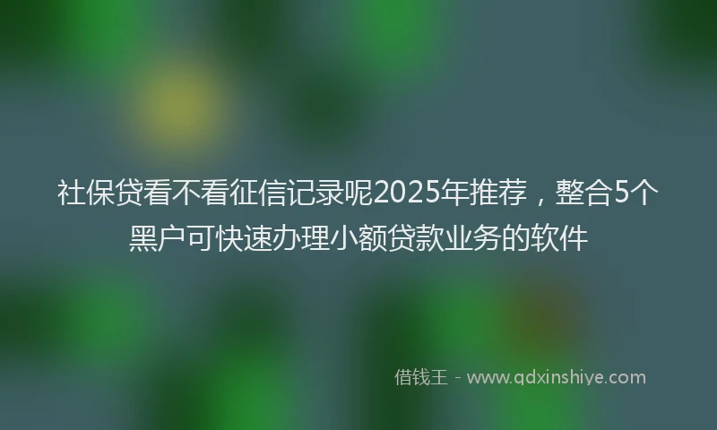 社保贷看不看征信记录呢2025年推荐，整合5个黑户可快速办理小额贷款业务的软件