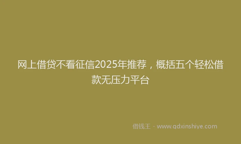 网上借贷不看征信2025年推荐，概括五个轻松借款无压力平台