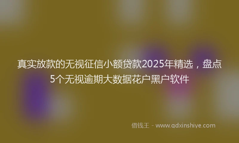 真实放款的无视征信小额贷款2025年精选，盘点5个无视逾期大数据花户黑户软件