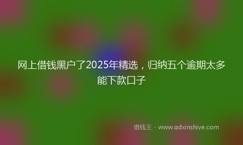 网上借钱黑户了2025年精选，归纳五个逾期太多能下款口子