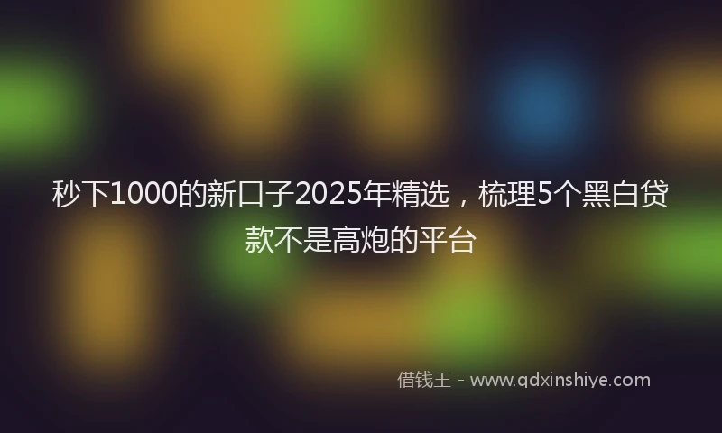 秒下1000的新口子2025年精选，梳理5个黑白贷款不是高炮的平台