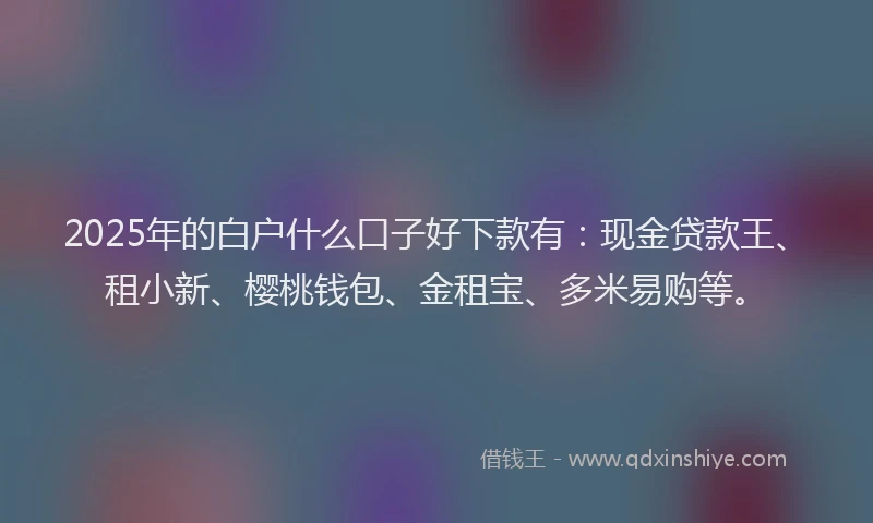 2025年的白户什么口子好下款有：现金贷款王、租小新、樱桃钱包、金租宝、多米易购等。