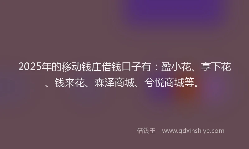 2025年的移动钱庄借钱口子有：盈小花、享下花、钱来花、森泽商城、兮悦商城等。