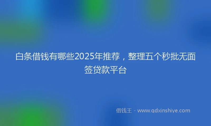 白条借钱有哪些2025年推荐，整理五个秒批无面签贷款平台