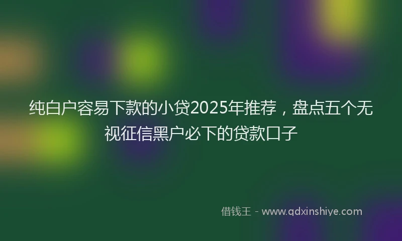 纯白户容易下款的小贷2025年推荐，盘点五个无视征信黑户必下的贷款口子