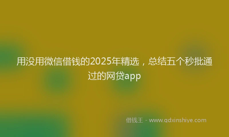 用没用微信借钱的2025年精选，总结五个秒批通过的网贷app