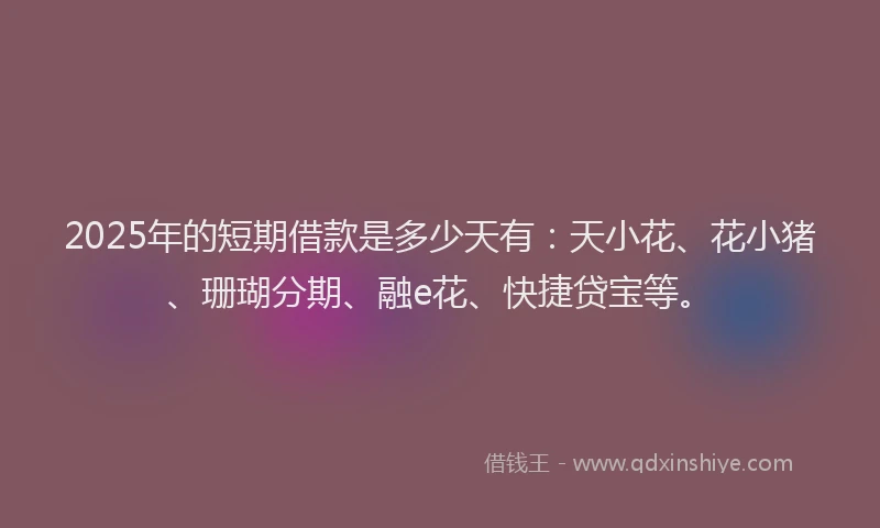 2025年的短期借款是多少天有：天小花、花小猪、珊瑚分期、融e花、快捷贷宝等。