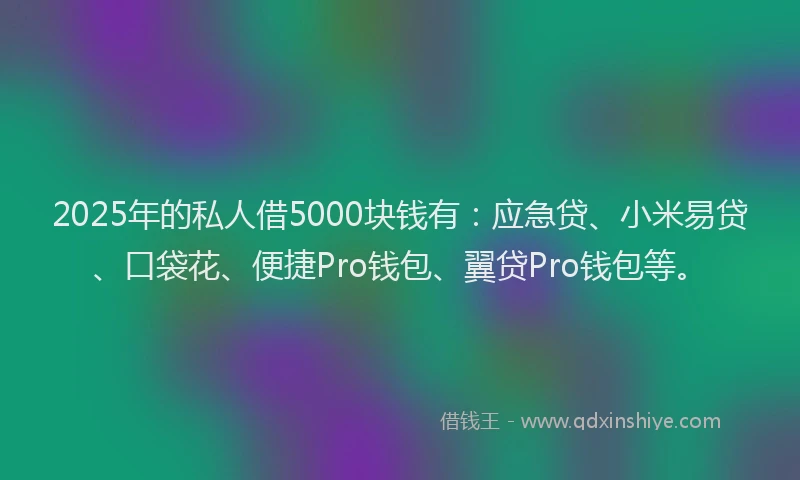 2025年的私人借5000块钱有：应急贷、小米易贷、口袋花、便捷Pro钱包、翼贷Pro钱包等。
