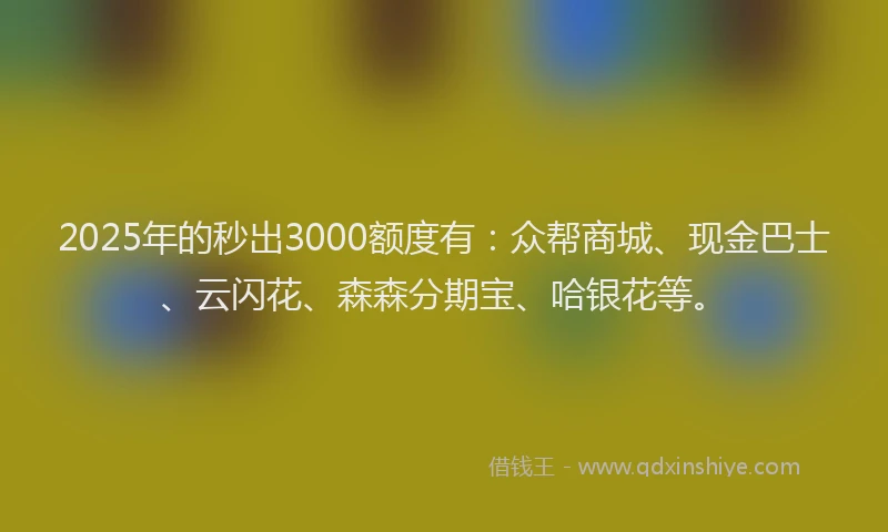 2025年的秒出3000额度有：众帮商城、现金巴士、云闪花、森森分期宝、哈银花等。