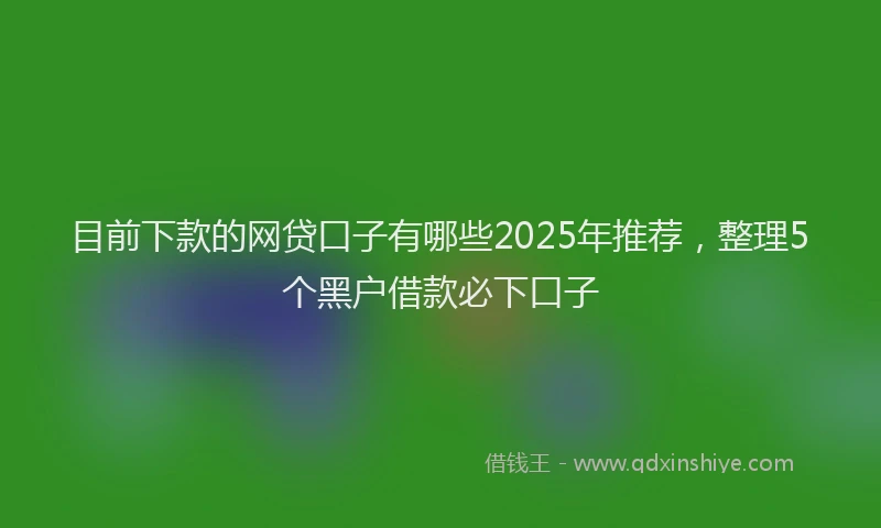 目前下款的网贷口子有哪些2025年推荐，整理5个黑户借款必下口子