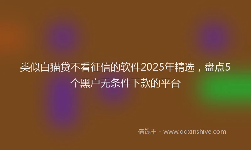 类似白猫贷不看征信的软件2025年精选，盘点5个黑户无条件下款的平台
