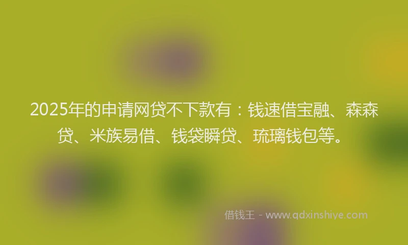 2025年的申请网贷不下款有：钱速借宝融、森森贷、米族易借、钱袋瞬贷、琉璃钱包等。