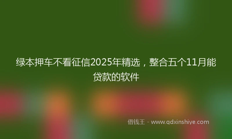 绿本押车不看征信2025年精选，整合五个11月能贷款的软件
