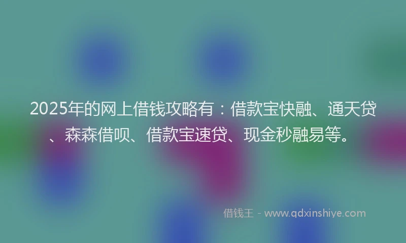 2025年的网上借钱攻略有：借款宝快融、通天贷、森森借呗、借款宝速贷、现金秒融易等。