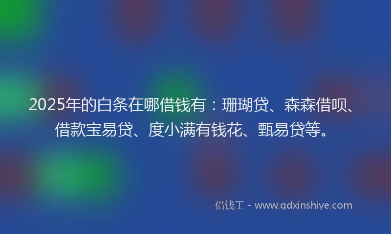 2025年的白条在哪借钱有：珊瑚贷、森森借呗、借款宝易贷、度小满有钱花、甄易贷等。