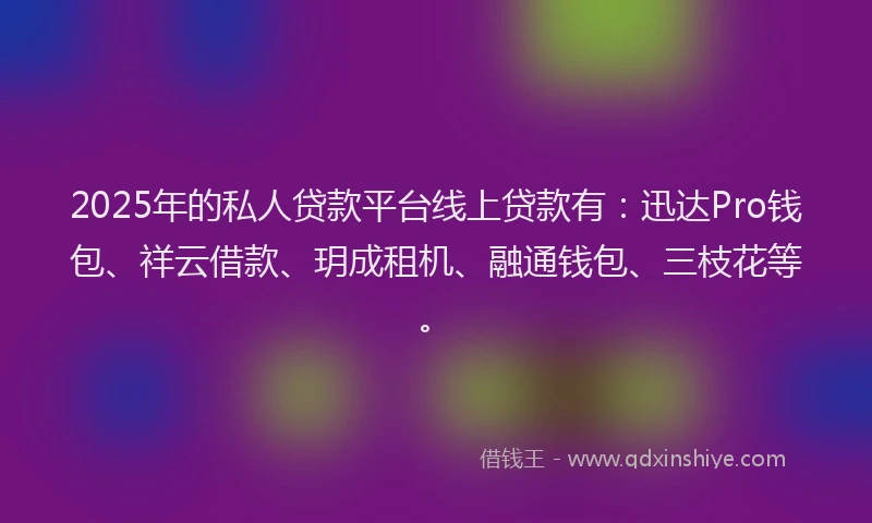 2025年的私人贷款平台线上贷款有：迅达Pro钱包、祥云借款、玥成租机、融通钱包、三枝花等。