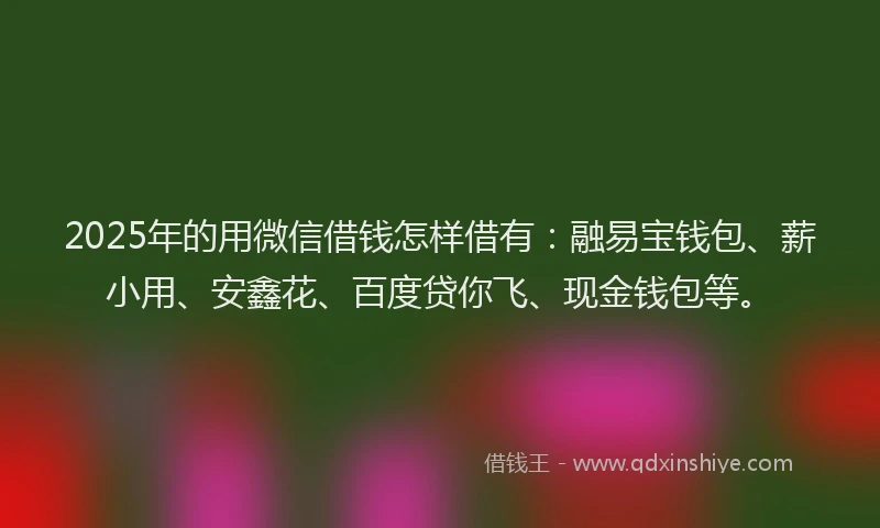 2025年的用微信借钱怎样借有：融易宝钱包、薪小用、安鑫花、百度贷你飞、现金钱包等。
