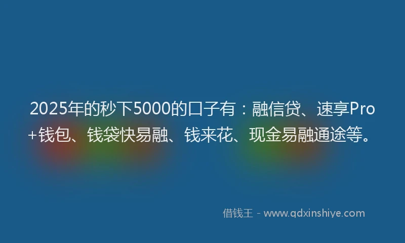 2025年的秒下5000的口子有：融信贷、速享Pro+钱包、钱袋快易融、钱来花、现金易融通途等。