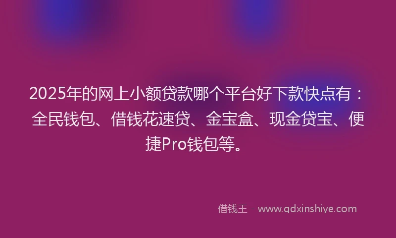 2025年的网上小额贷款哪个平台好下款快点有：全民钱包、借钱花速贷、金宝盒、现金贷宝、便捷Pro钱包等。