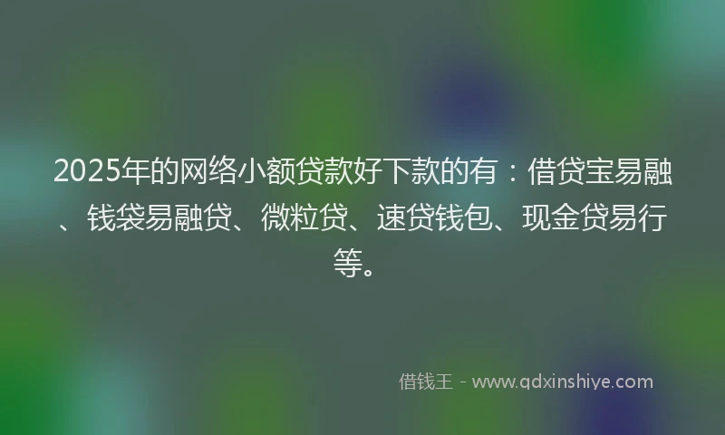 2025年的网络小额贷款好下款的有：借贷宝易融、钱袋易融贷、微粒贷、速贷钱包、现金贷易行等。