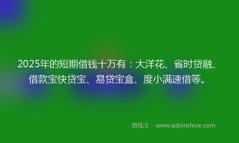 2025年的短期借钱十万有：大洋花、省时贷融、借款宝快贷宝、易贷宝盒、度小满速借等。