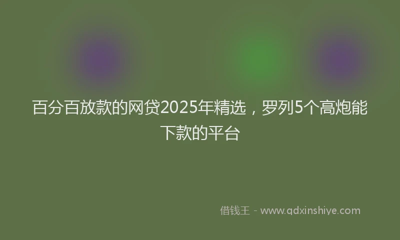 百分百放款的网贷2025年精选，罗列5个高炮能下款的平台