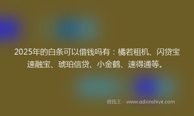 2025年的白条可以借钱吗有：橘若租机、闪贷宝速融宝、琥珀信贷、小金鹤、速得通等。