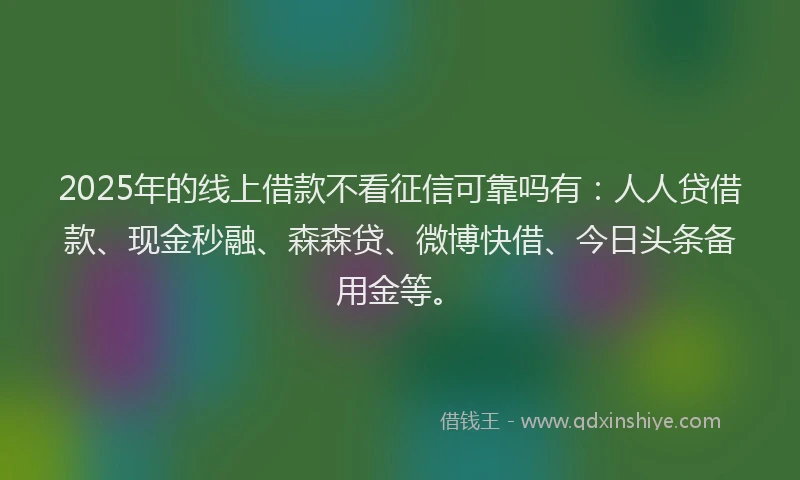 2025年的线上借款不看征信可靠吗有：人人贷借款、现金秒融、森森贷、微博快借、今日头条备用金等。