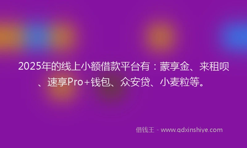 2025年的线上小额借款平台有：蒙享金、来租呗、速享Pro+钱包、众安贷、小麦粒等。