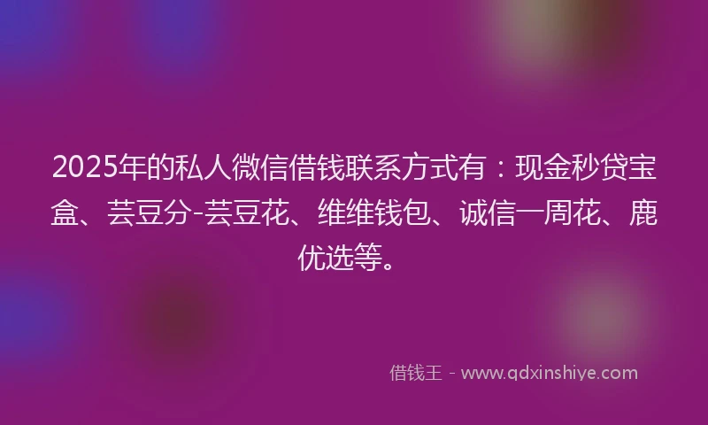 2025年的私人微信借钱联系方式有：现金秒贷宝盒、芸豆分-芸豆花、维维钱包、诚信一周花、鹿优选等。