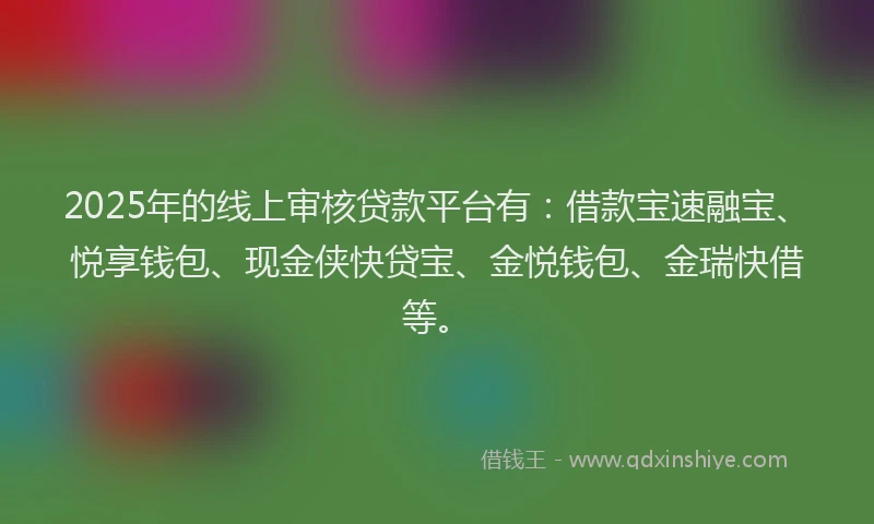 2025年的线上审核贷款平台有：借款宝速融宝、悦享钱包、现金侠快贷宝、金悦钱包、金瑞快借等。