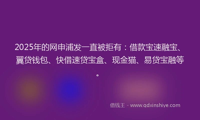 2025年的网申浦发一直被拒有：借款宝速融宝、翼贷钱包、快借速贷宝盒、现金猫、易贷宝融等。