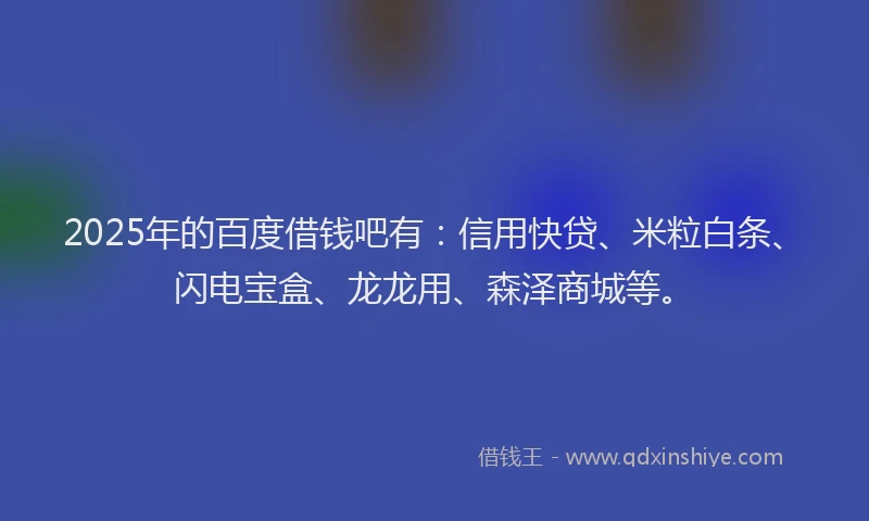 2025年的百度借钱吧有：信用快贷、米粒白条、闪电宝盒、龙龙用、森泽商城等。