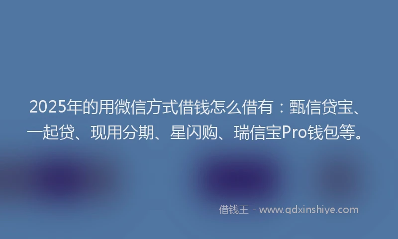 2025年的用微信方式借钱怎么借有：甄信贷宝、一起贷、现用分期、星闪购、瑞信宝Pro钱包等。