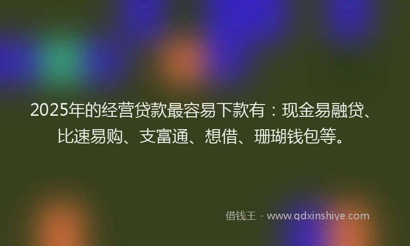 2025年的经营贷款最容易下款有：现金易融贷、比速易购、支富通、想借、珊瑚钱包等。