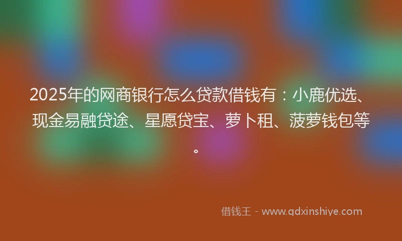 2025年的网商银行怎么贷款借钱有：小鹿优选、现金易融贷途、星愿贷宝、萝卜租、菠萝钱包等。