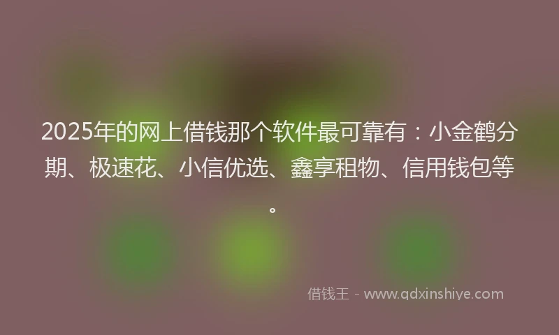 2025年的网上借钱那个软件最可靠有：小金鹤分期、极速花、小信优选、鑫享租物、信用钱包等。