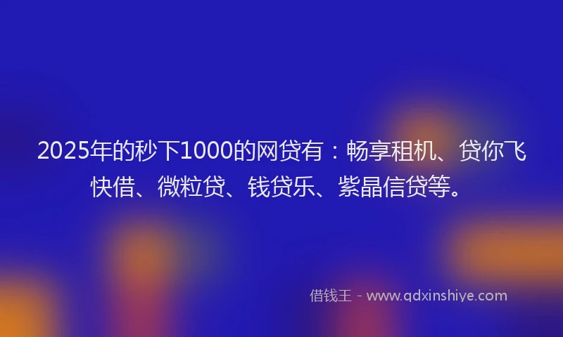 2025年的秒下1000的网贷有：畅享租机、贷你飞快借、微粒贷、钱贷乐、紫晶信贷等。