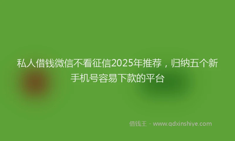 私人借钱微信不看征信2025年推荐，归纳五个新手机号容易下款的平台