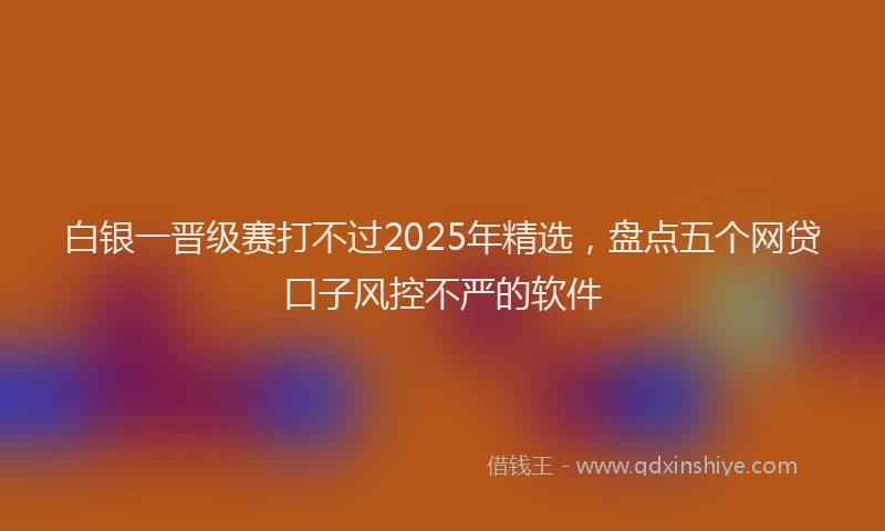 白银一晋级赛打不过2025年精选，盘点五个网贷口子风控不严的软件