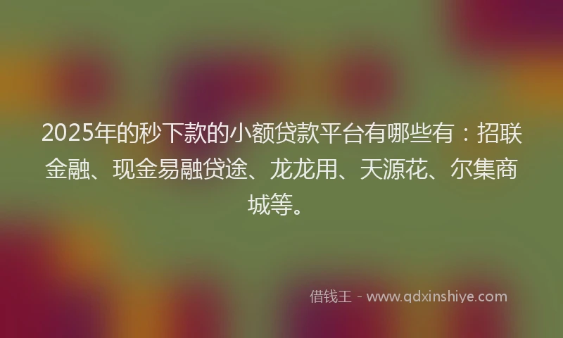 2025年的秒下款的小额贷款平台有哪些有：招联金融、现金易融贷途、龙龙用、天源花、尔集商城等。