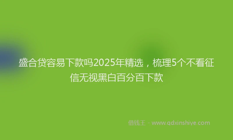 盛合贷容易下款吗2025年精选，梳理5个不看征信无视黑白百分百下款