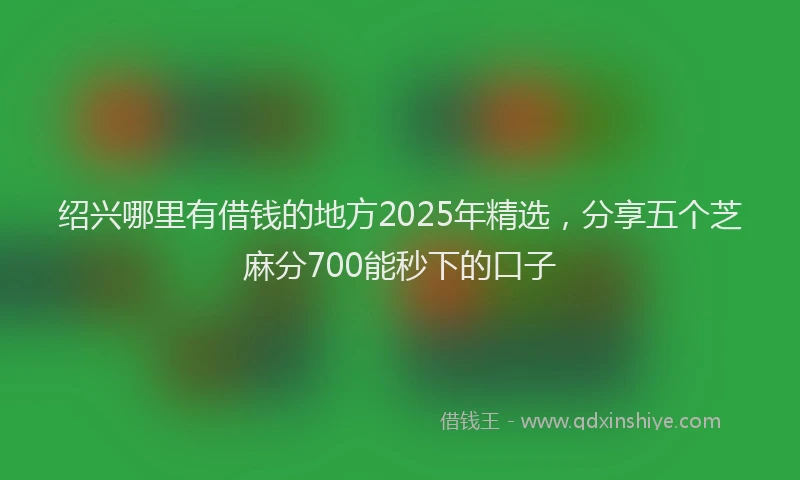 绍兴哪里有借钱的地方2025年精选，分享五个芝麻分700能秒下的口子
