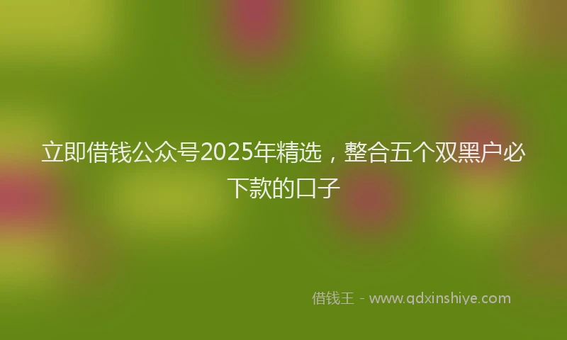 立即借钱公众号2025年精选，整合五个双黑户必下款的口子