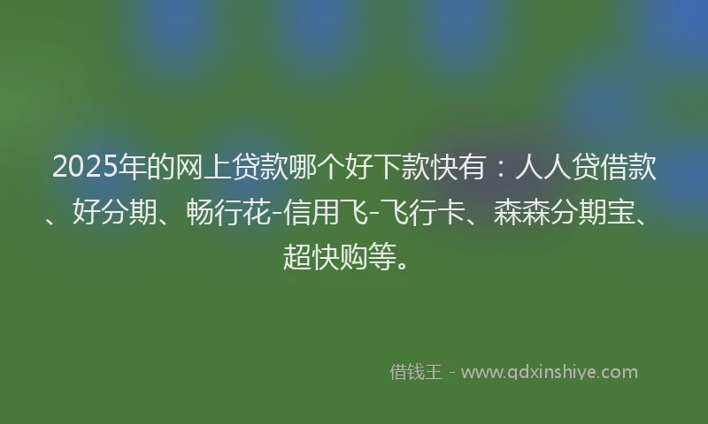 2025年的网上贷款哪个好下款快有：人人贷借款、好分期、畅行花-信用飞-飞行卡、森森分期宝、超快购等。