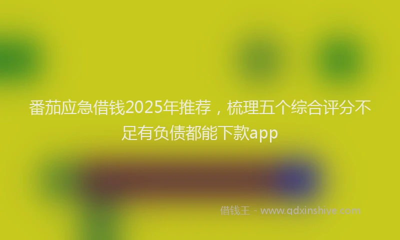 番茄应急借钱2025年推荐，梳理五个综合评分不足有负债都能下款app