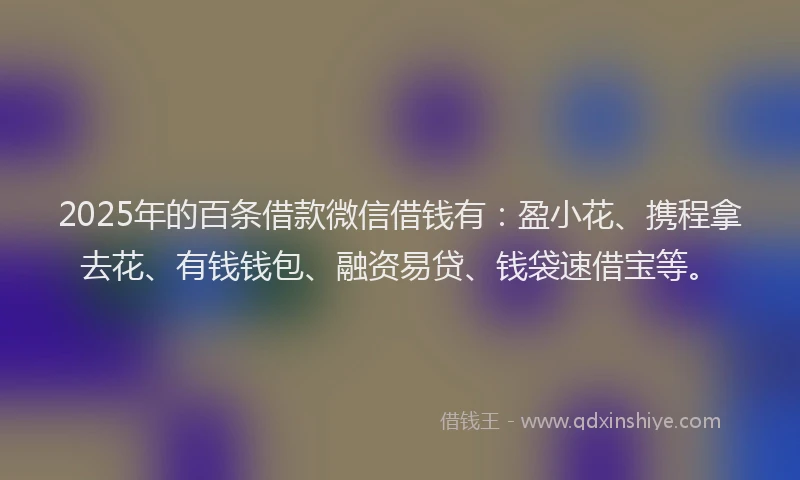 2025年的百条借款微信借钱有：盈小花、携程拿去花、有钱钱包、融资易贷、钱袋速借宝等。