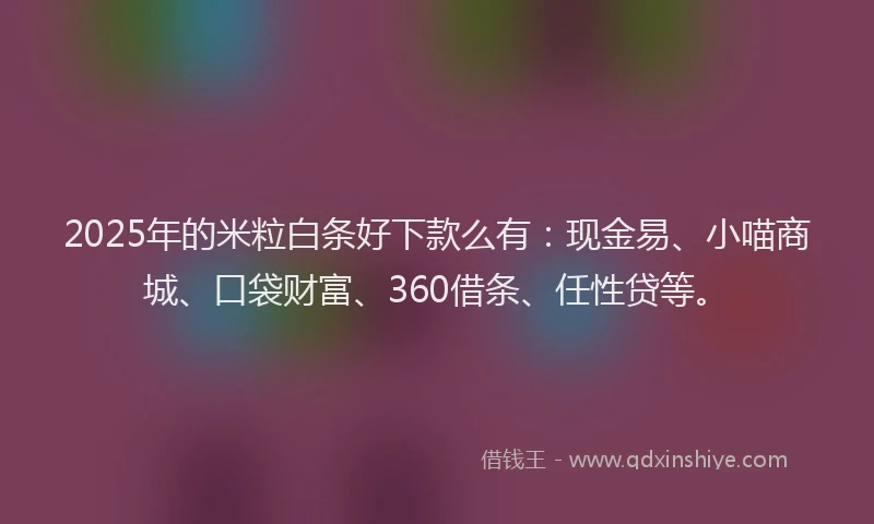2025年的米粒白条好下款么有：现金易、小喵商城、口袋财富、360借条、任性贷等。