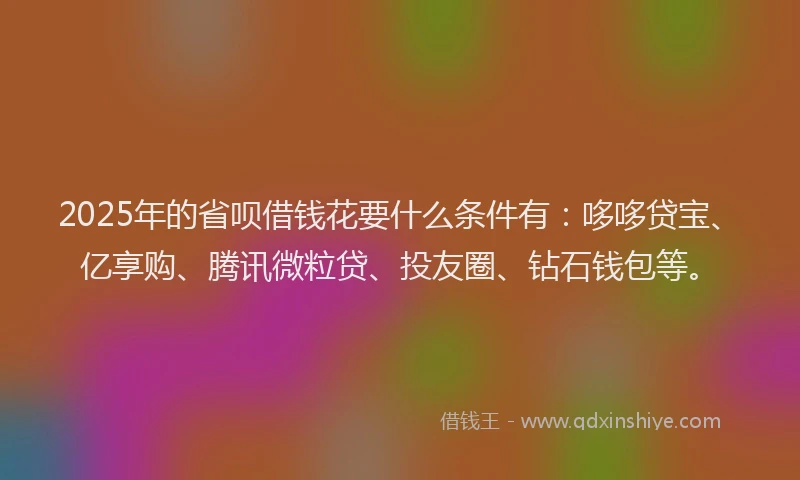 2025年的省呗借钱花要什么条件有：哆哆贷宝、亿享购、腾讯微粒贷、投友圈、钻石钱包等。